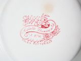 a close up of a plate with a red design on it