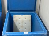 deux poubelles bleues posées l'une à côté de l'autre sur le sol