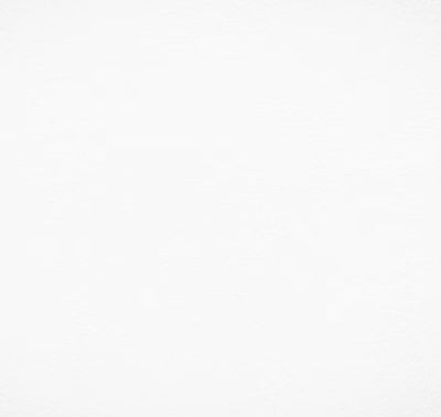 Alberto GIACOMETTI Il sera présenté dans une prochaine vente…