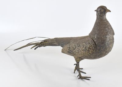 un oiseau posé sur une surface blanche