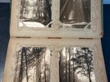 une vieille photo d'un livre contenant des illustrations d'arbres