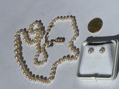 a necklace, earrings, and a coin laying on a table