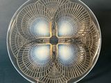 an image of a glass plate with a design on it