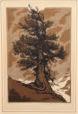 a picture of a picture of a tree on a hill