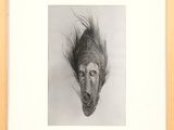 drawing of a dog ' s head in a wooden frame with a white background