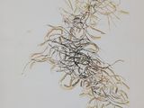 drawing of a bunch of hair on a piece of paper