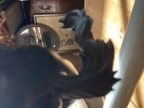 a statue of a man holding a bat in a living room
