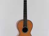 an image of a guitar hanging on a wall in a room