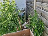 a box of gardening supplies sitting outside of a house