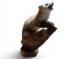 un ours polaire assis sur un tronc d'arbre