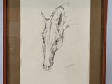 drawing of a giraffe head in a frame on a wall