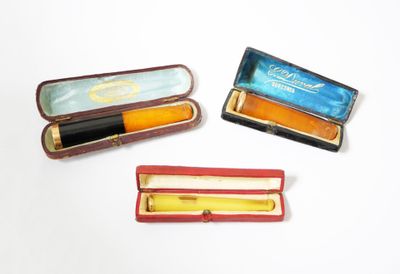 three pens in a case sitting on a white surface