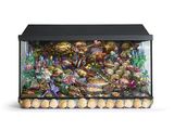 an image of a fish tank filled with lots of different types of fish