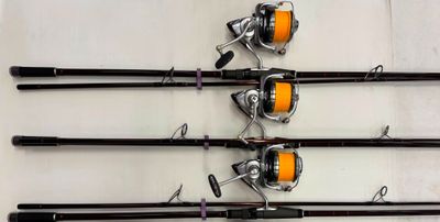 Lot de 3 cannes HARRISON TORRIX T. - Photo 1