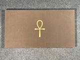 a gold ankht on a brown surface
