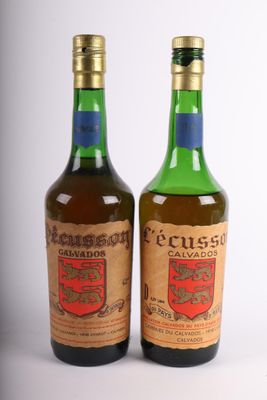 deux bouteilles d'alcool posées l'une à côté de l'autre sur une surface blanche