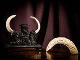 two pieces of carved ivory sitting on a wooden table