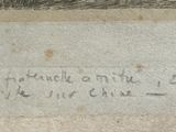 Photo 3/6 du lot