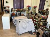 une pièce remplie de nombreuses fleurs et plantes