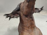 a statue of a dog with a bird on its head
