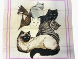 a picture of a picture of a group of cats on a towel