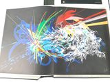 a picture of a book with a picture of a painting on it