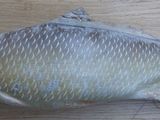 un poisson posé sur une table