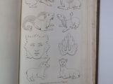 an open book with drawings of animals on it