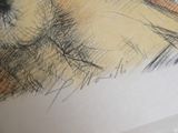 un dessin représentant un chien couché sur une feuille de papier