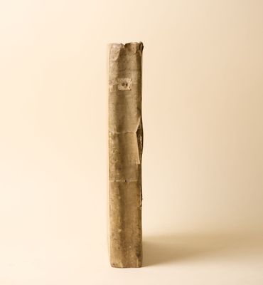un grand morceau de bois posé sur une table
