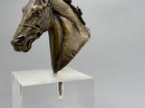 statue représentant une tête de cheval posée sur un socle transparent