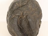 an image of a sculpture of a rock with a hole in it