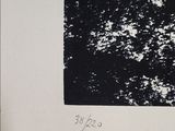 black and white photograph of a black and white photo of a tree