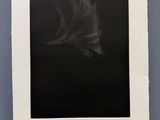 l'image d'une photographie en noir et blanc accrochée à un mur