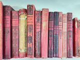 un grand nombre de livres alignés sur une étagère