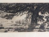 a drawing of a tree in the middle of a field