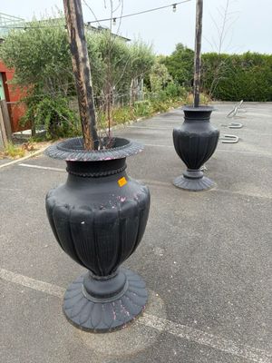 deux vases noirs contenant des arbres, posés sur un parking