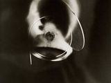 black and white photograph of a dog with a glass in its mouth