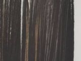 an image of a close up of a piece of art with black paint