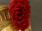 a gold helmet with a red feather on top of it