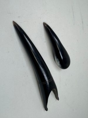 une paire de grandes dents noires sur une surface blanche