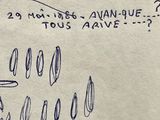 Photo 5/8 du lot