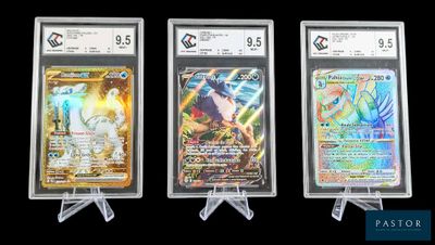 Trois types différents de cartes Pokémon sont représentés sur un fond noir