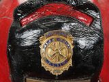 a close up of a fireman ' s helmet with a badge on it