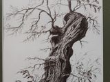 Photo 2/5 du lot