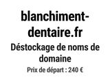 Photo 1/1 du lot