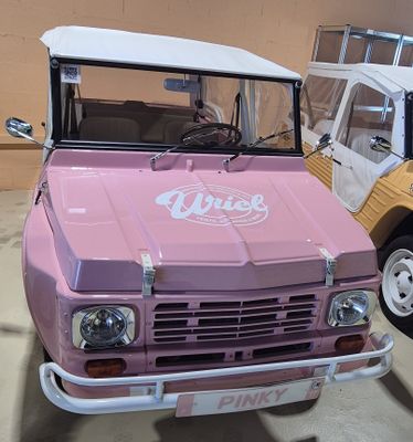 Véhicule de marque MCC AUTOMOTIVE Eden, Rose Pinky, immatriculé GV-664 - Photo 1