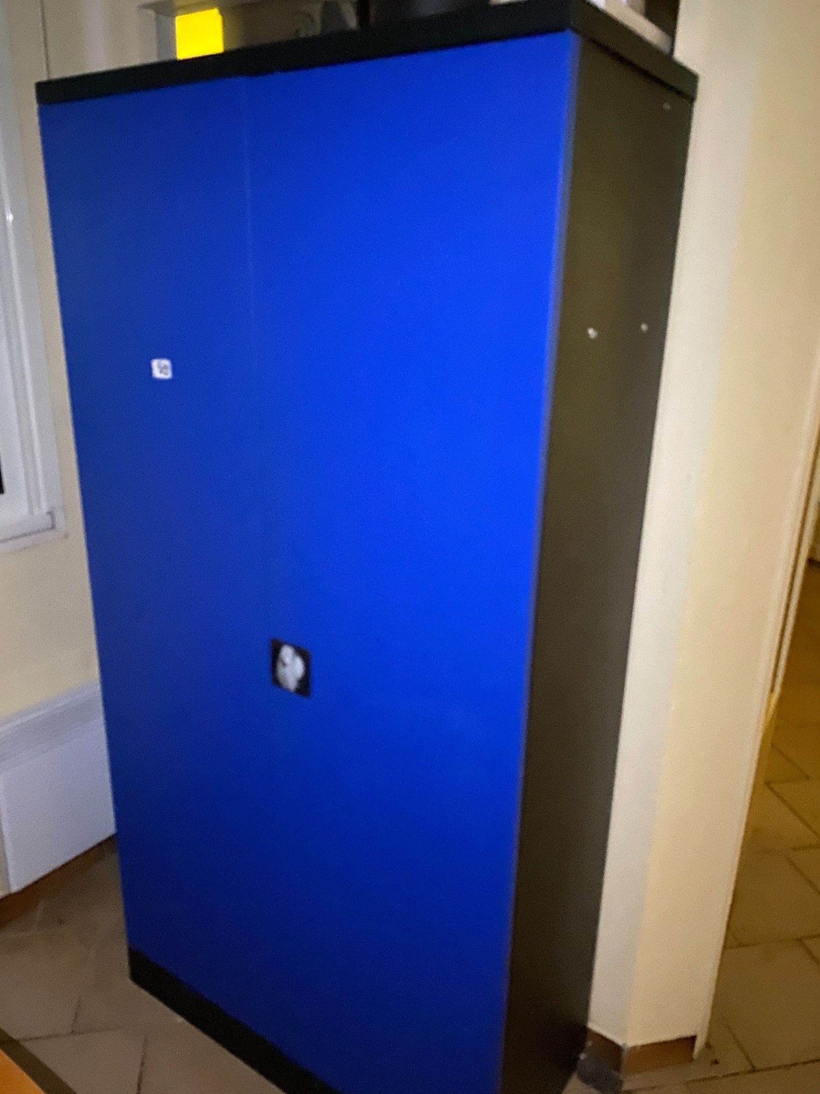 Une armoire métallique à 2 portes pliantes
