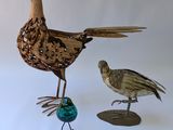 deux oiseaux qui se tiennent l'un à côté de l'autre