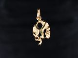 a close up of a gold elephant pendant on a black background